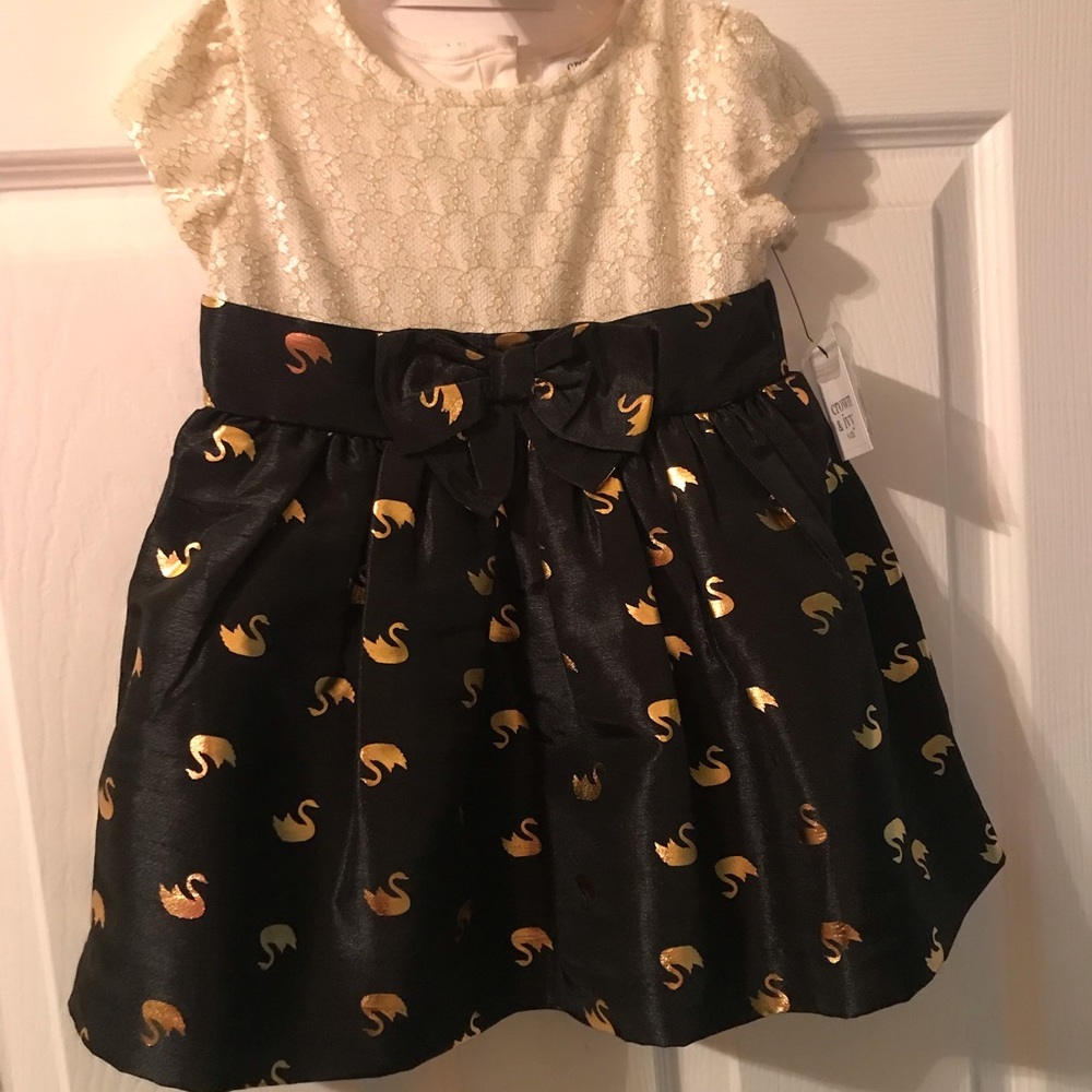 Dress size 2t new! - Picture 1 of 9